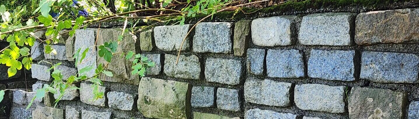 A Clean Pressure Washed Wall