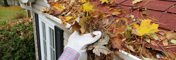 Istockphoto 1064396034 612x612 Gutter Cleaning